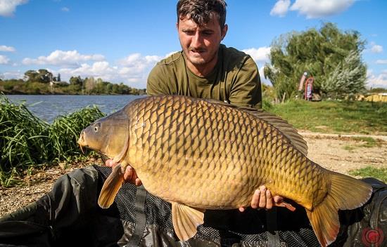 Rezultat de exceptie la Individual Cup - Hermes Peris 2016.